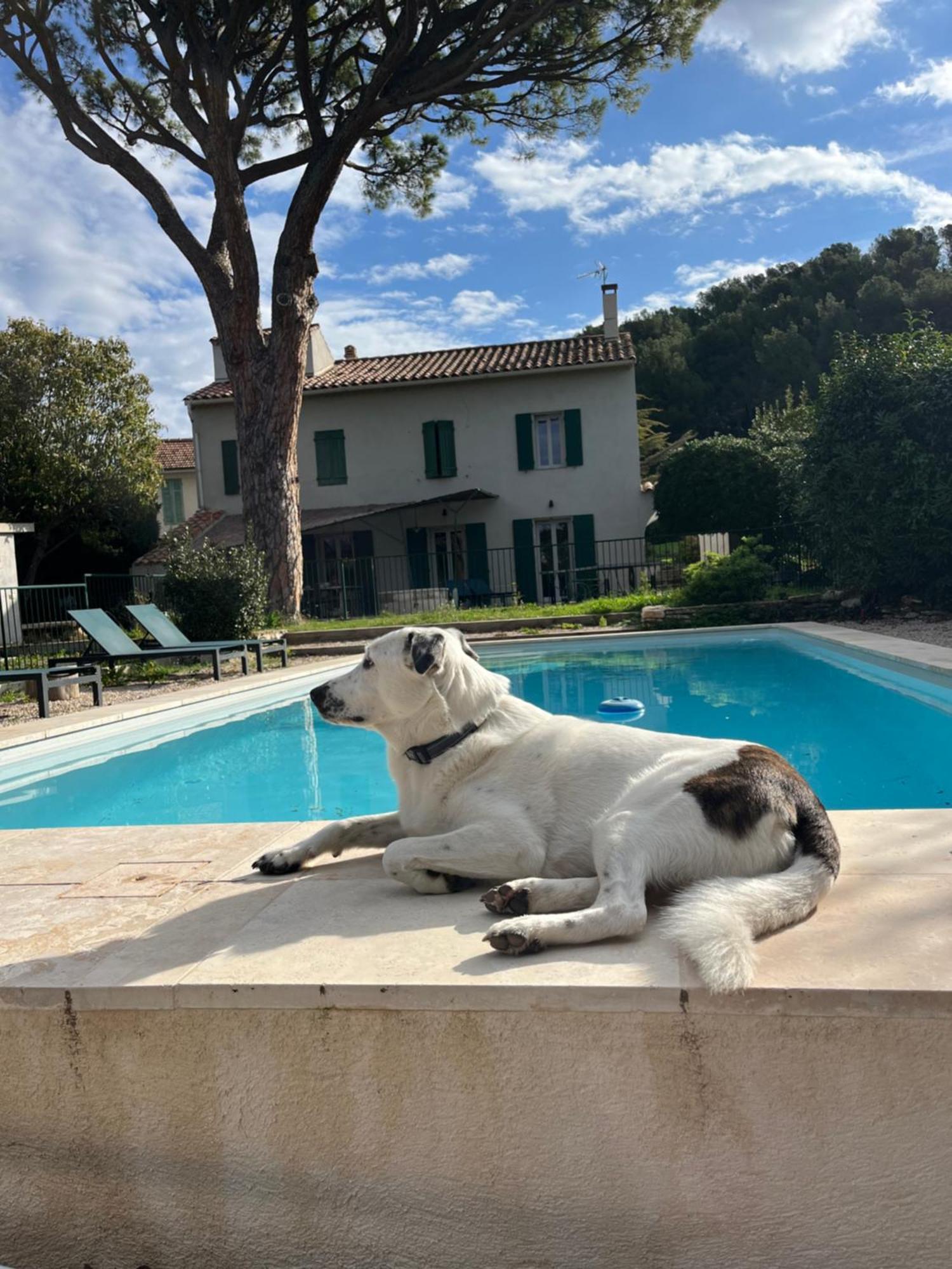 Villavos- Le Bocage Cassis Esterno foto