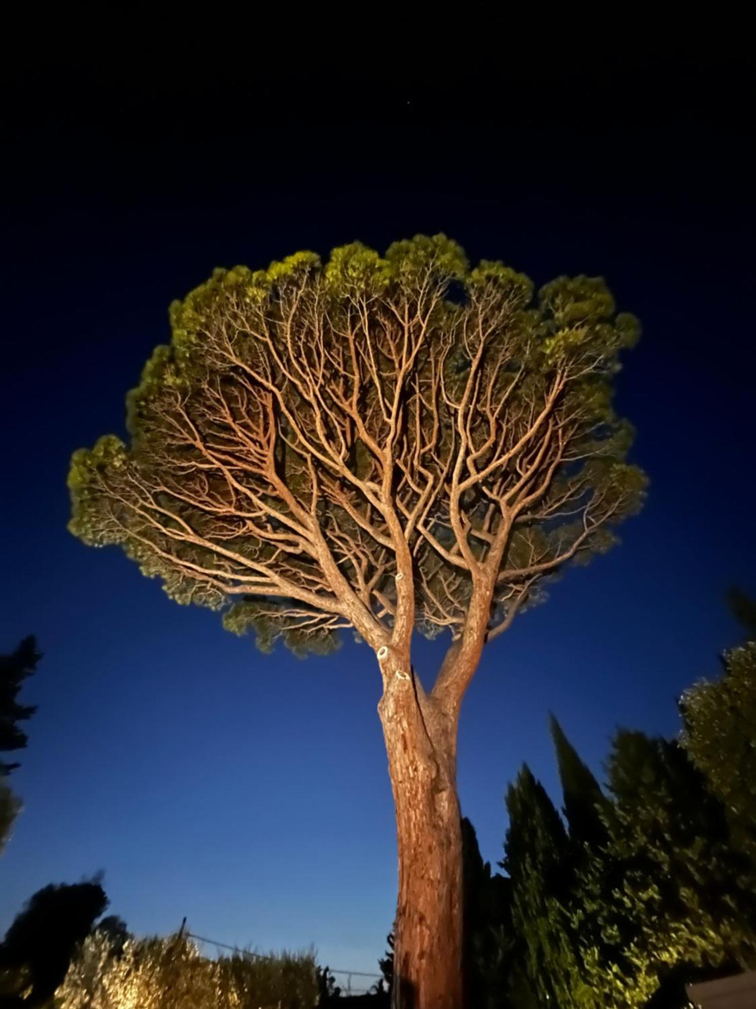 Villavos- Le Bocage Cassis Esterno foto